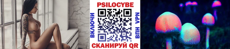 Галлюциногенные грибы Psilocybe  купить наркоту  Карасук 